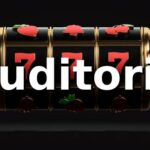 58ee - Auditoria